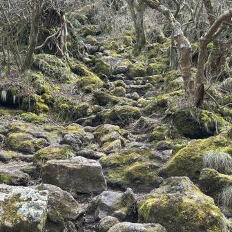 ジブリの世界⭐️