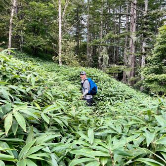 池山分岐で池山を目指します⛰️
歩く人が少ないのか、笹で覆われていました😅「引き返す？」と聞きながら前に進みます😈