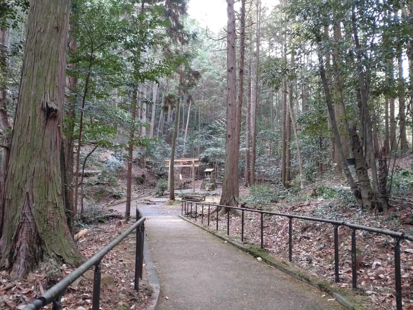 新年早々、登り初めが時間なくてバタバタに💨🥾🥾
お山の神様には「後でお参りご挨拶させていただきます🙏」と離れた所からつぶやき。。とりあえず急いで山頂へ向かいます💨💨😊