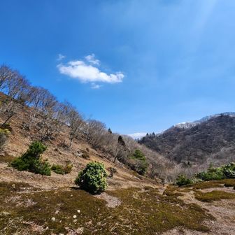 とにかくずっとブルー💙