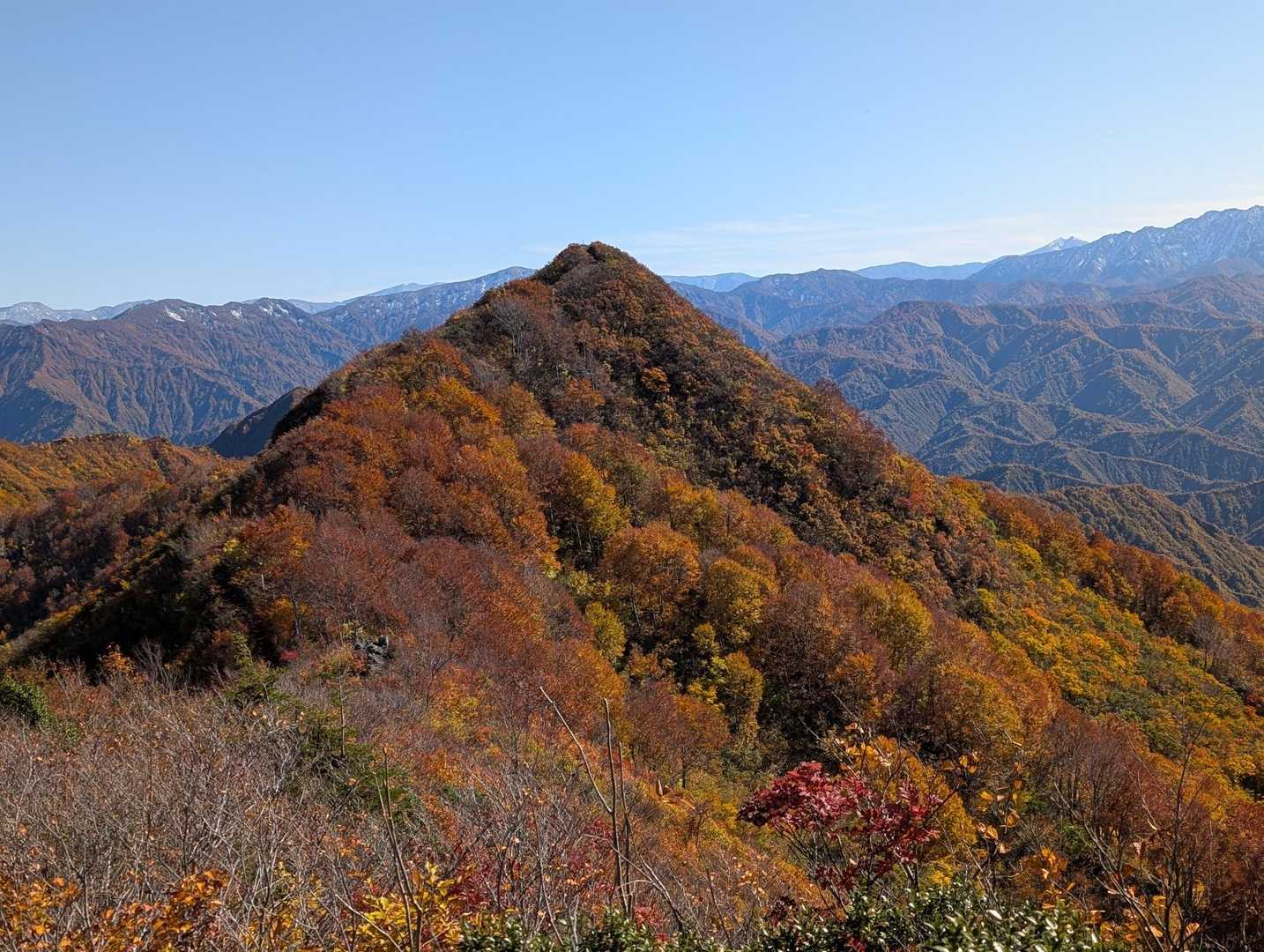 奥でした〜
紅葉がピーク🍁