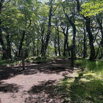 本日最後のピークは三国山。