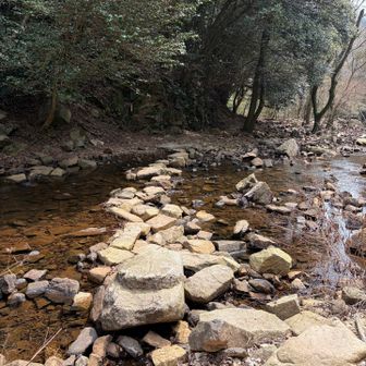 ドボンしないように渡ります