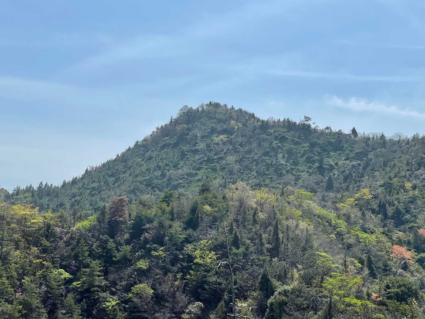 さっきまでいた太平山⛰