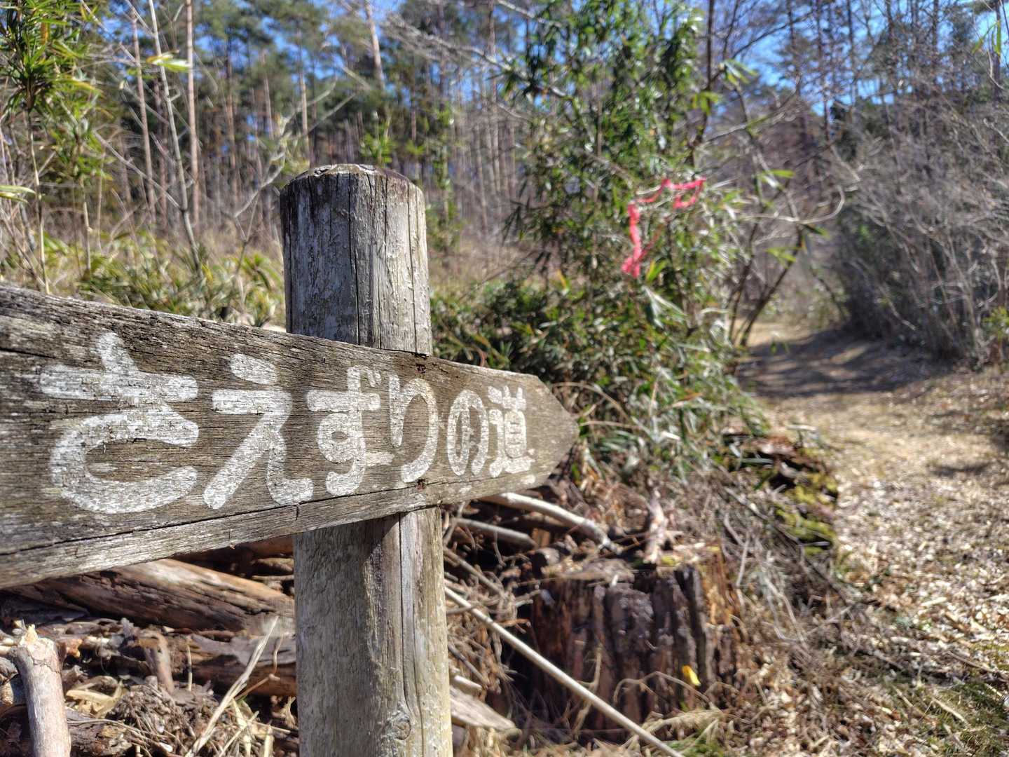 山頂まで最短のさえずりの道
