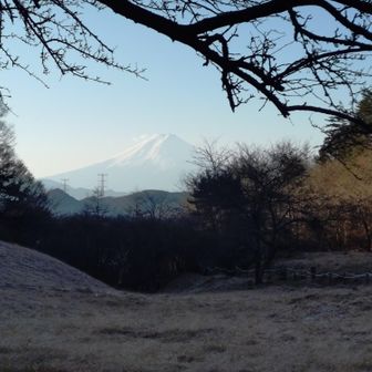 丸川峠から

ちと白いですが、ちゃんと見えました🗻