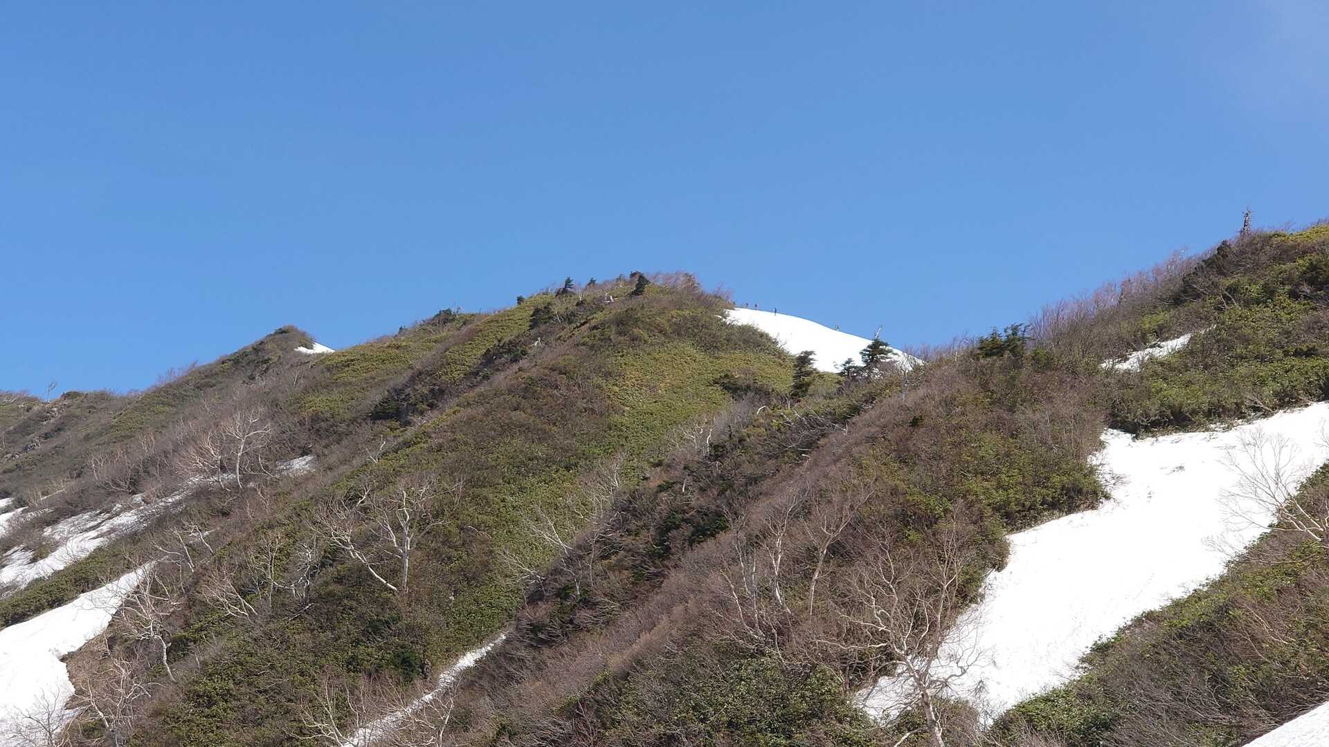 笈ヶ岳の写真