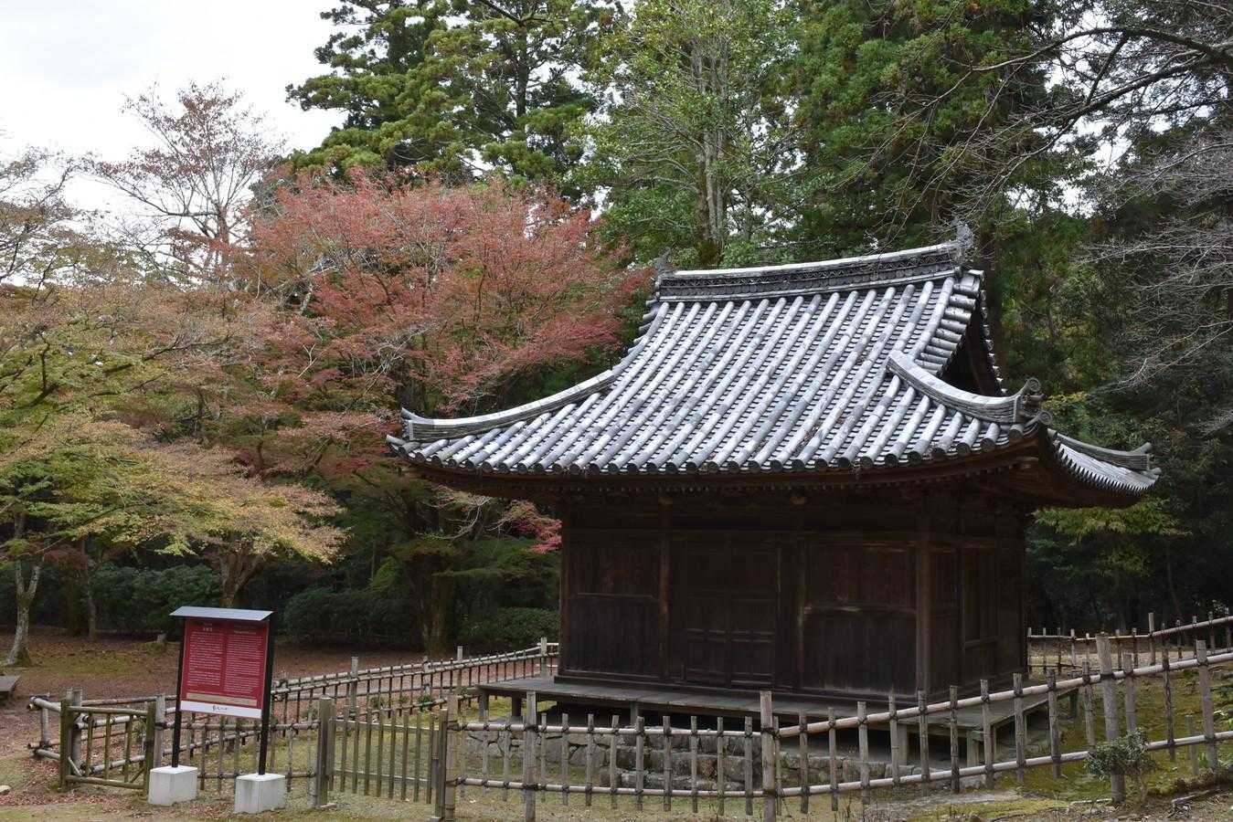少ない紅葉している木を撮影。