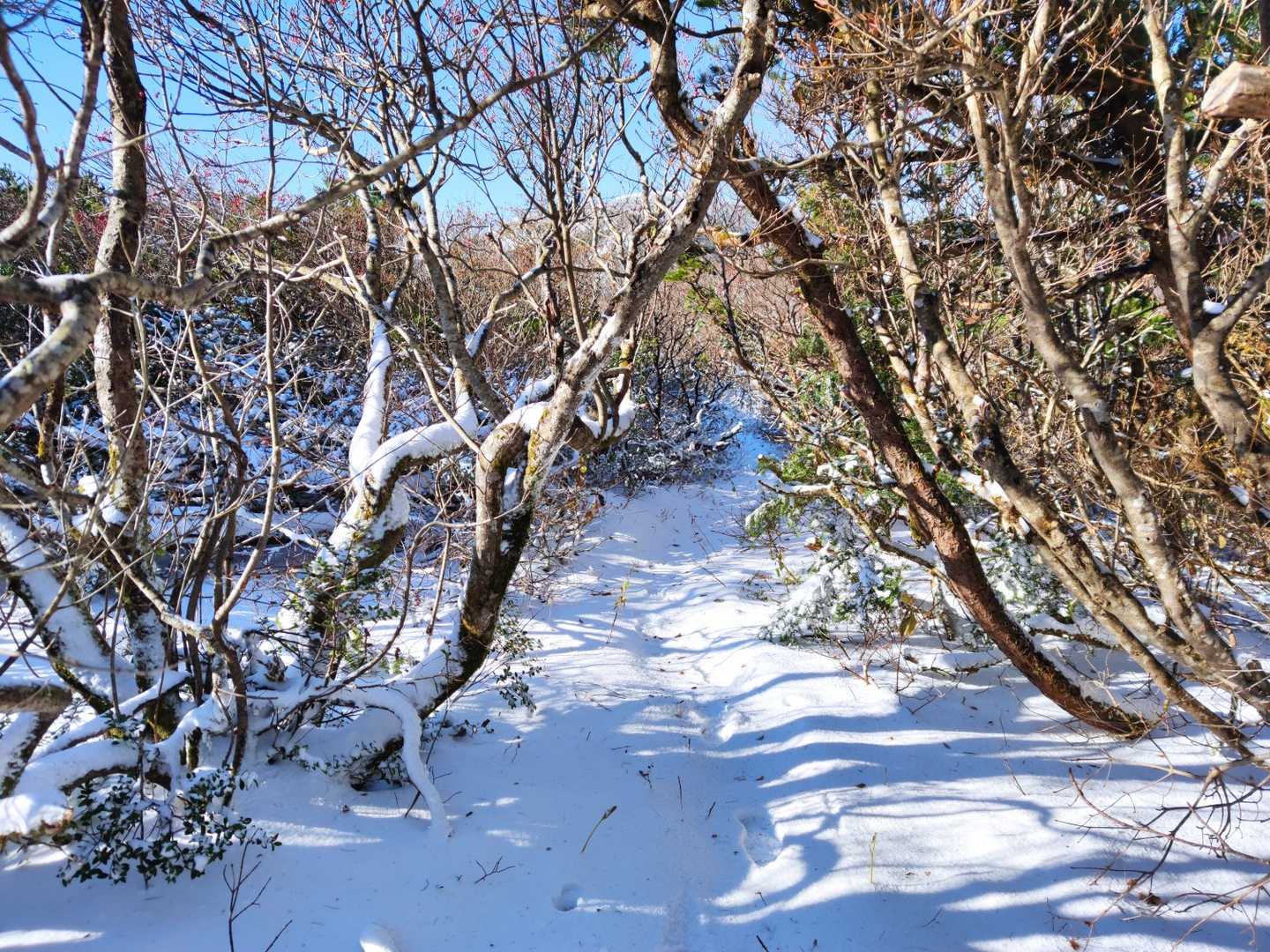 さ、帰りましょ🚶🏼‍♂️