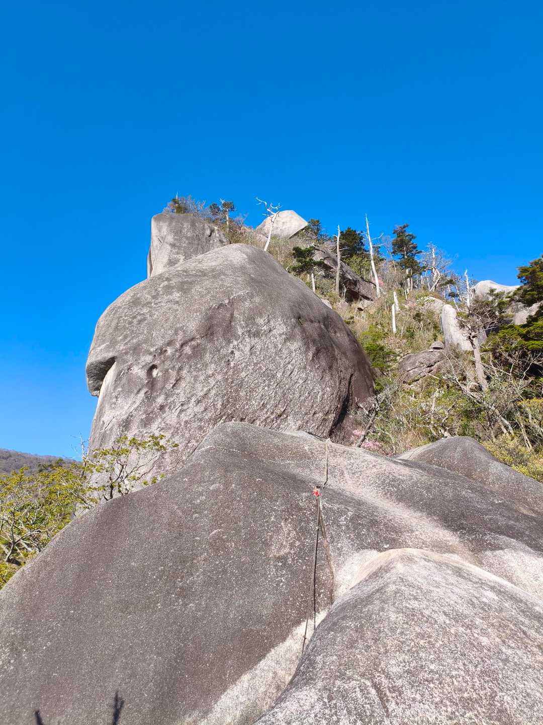 坊主尾根コース | ハシゴ・鎖場多数。九州最後の秘境と呼ばれる大崩山への写真