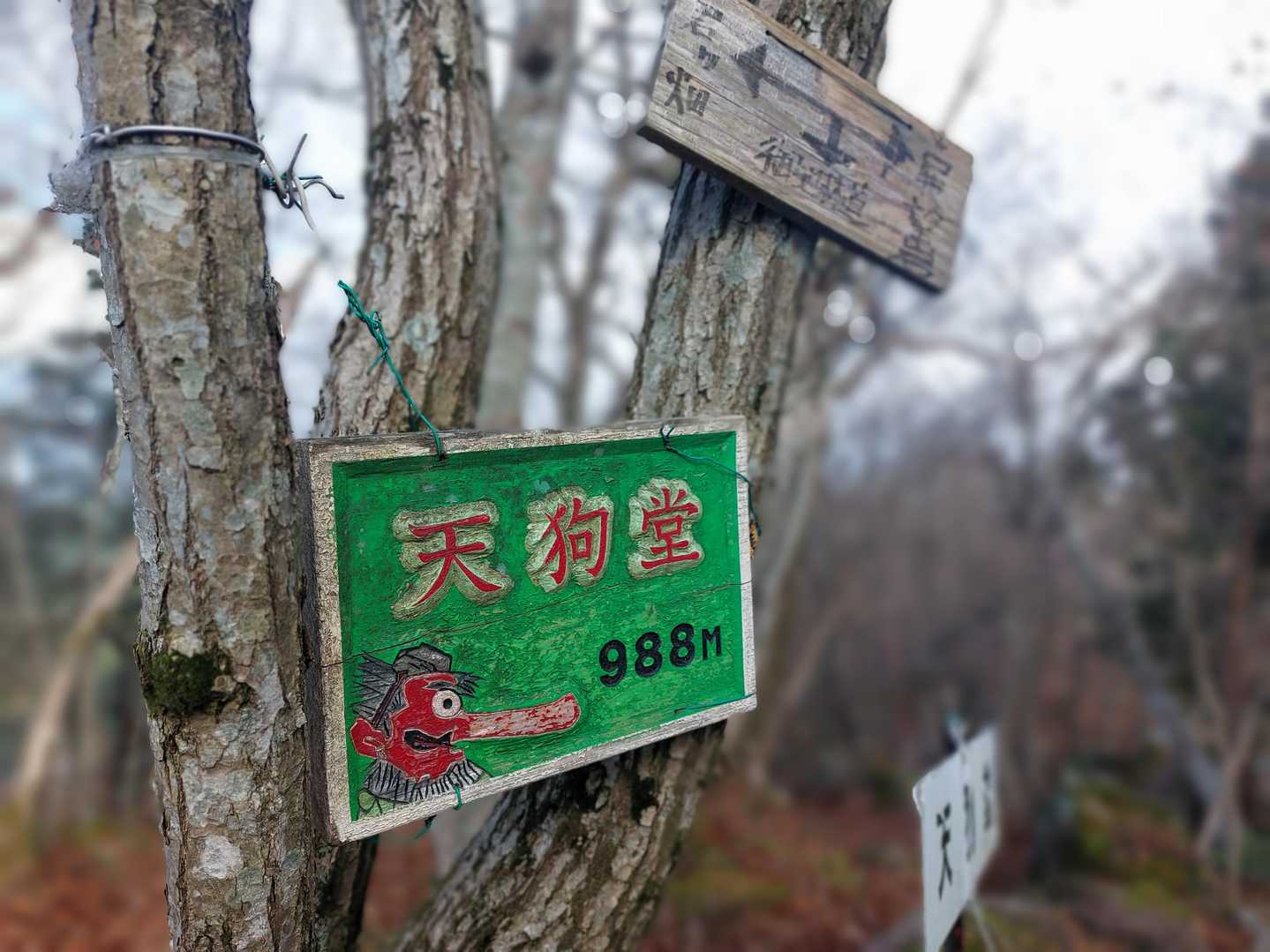 鈴鹿10座達成⛰️