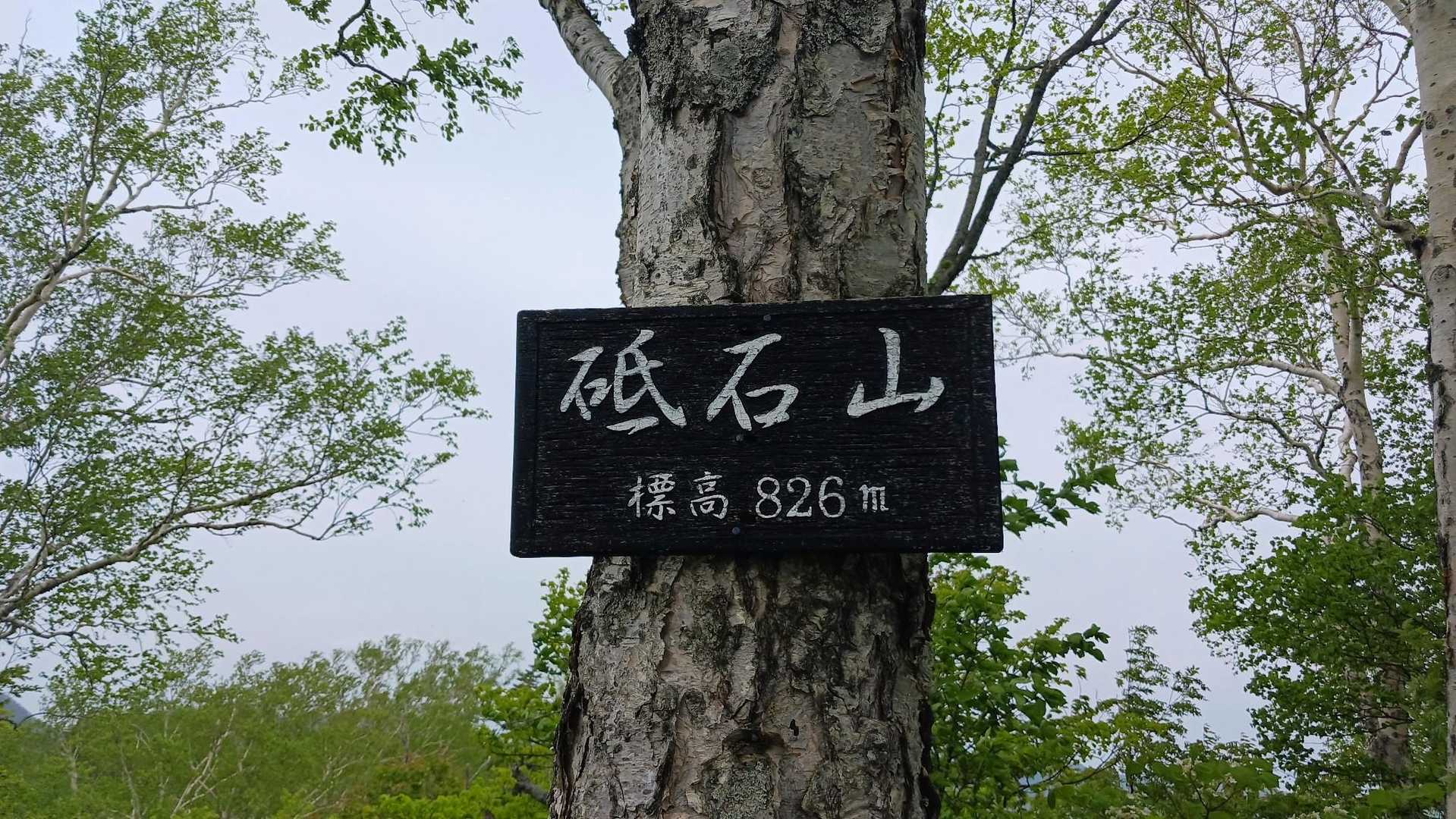 到着❗
