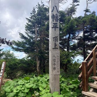 登山口から30分足らずで八幡平山頂❣️