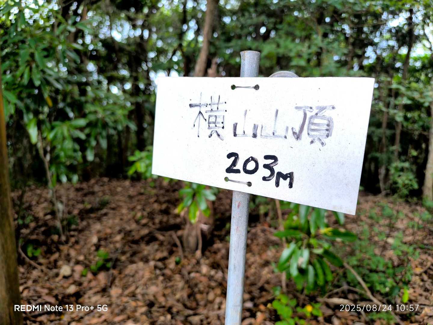 横山 往復コースの写真