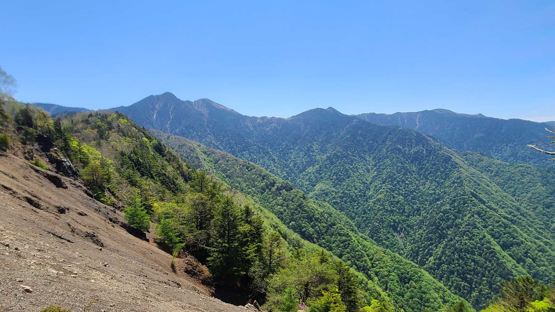 池口岳登山口-黒薙-利検沢ノ頭-池口岳 往復コースの写真