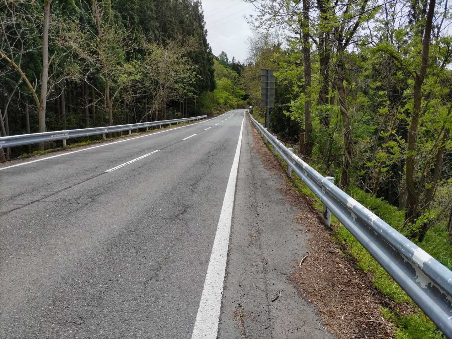 すぐ道路に出ました。