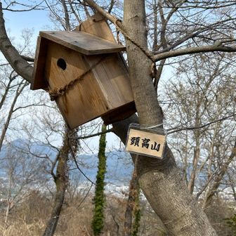 山頂標はコレ
しょぼい