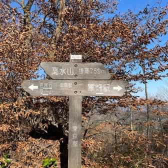 高水山⛰️山頂