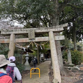 鎮守の森を抜けます