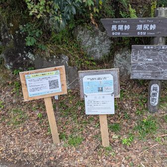 外輪山を少し歩いて湖尻へ下りました