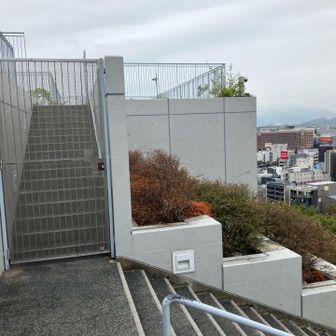 しっかり監視カメラに見られている。
悪さは出来ない。大人しく降りよう。