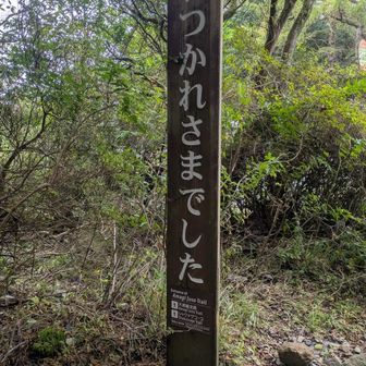 おつかれ山でした
