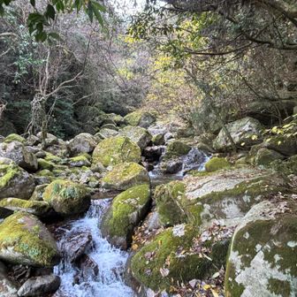 坊主ヶ滝の上流。