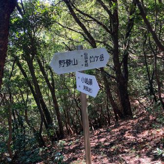 仙ケ岳向かいます