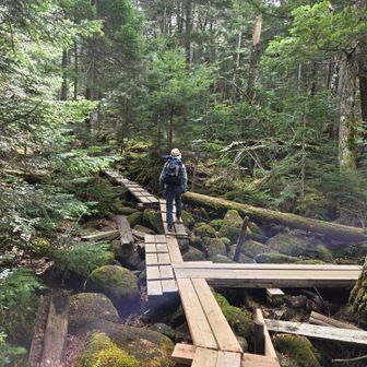 分岐で登山道に向けて出発