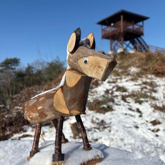 めっちゃ可愛いです💕
来てよかった〜😆