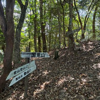 茂田井登山口からとの合流点
