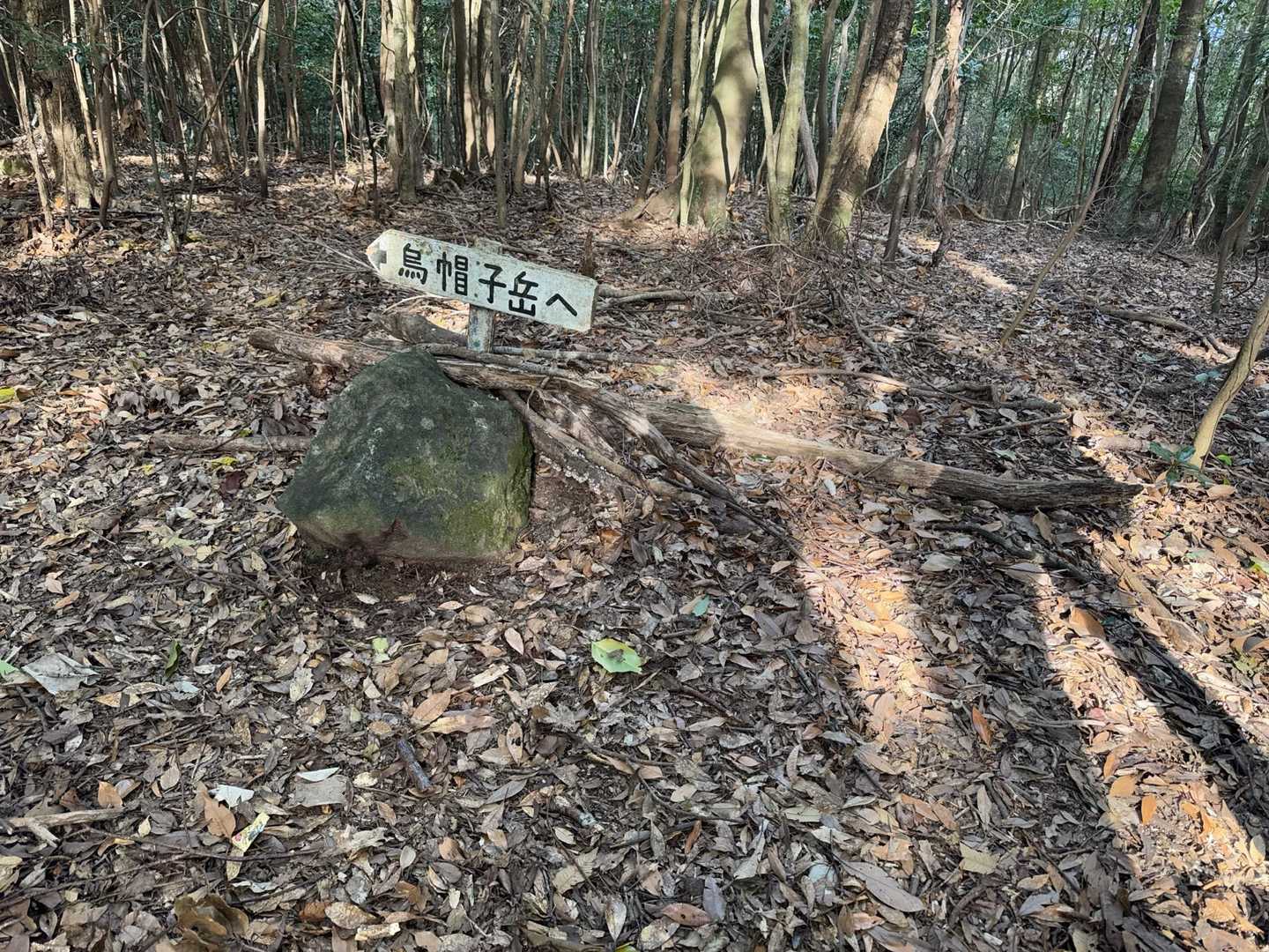 烏帽子岳 往復コースの写真