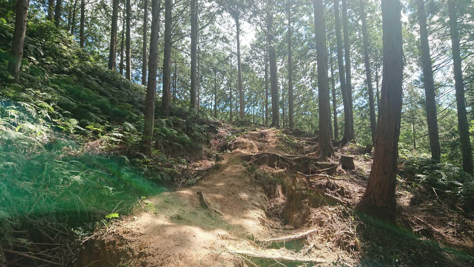 やっぱりいい山だね❣️