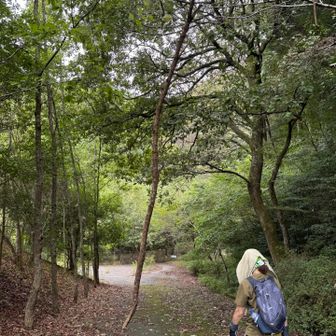 最後の最後、
枝が目の前で落下してきてビビった😨