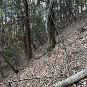 ここにも画面左側に道があります
写真だとまったく分かりませんね🤔
歩いてても分かりませんでした