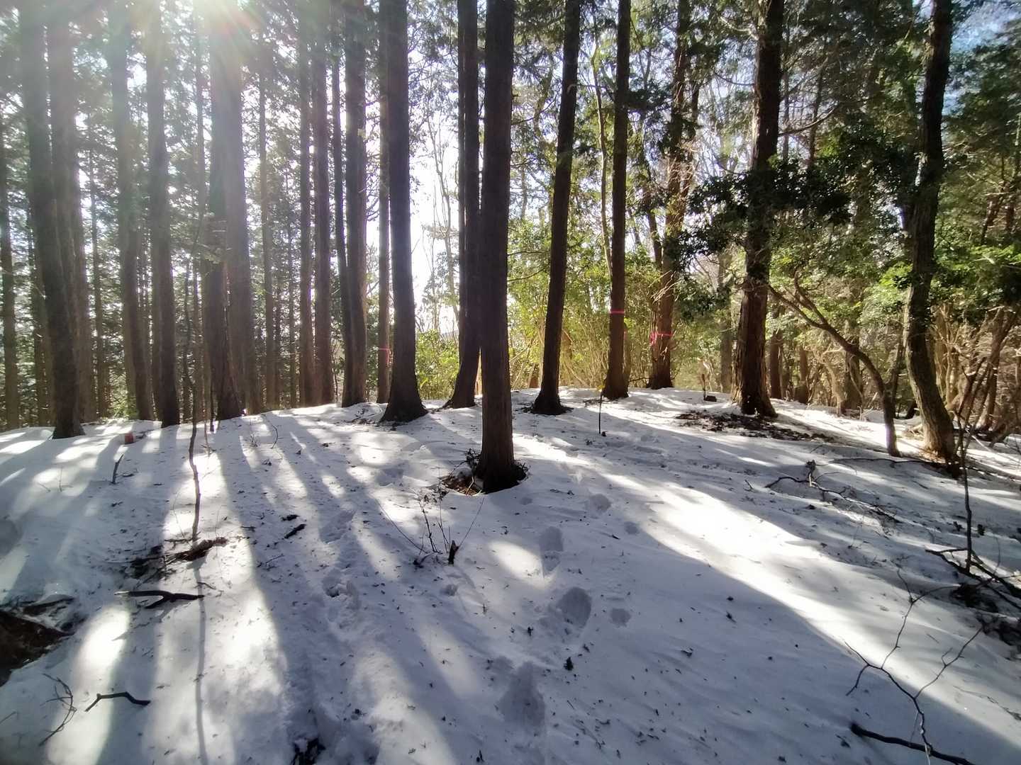 YAMAP上での山頂
なんもない😠