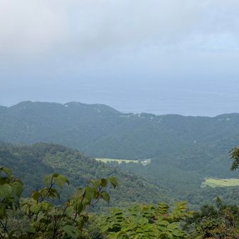 岩の上より👀

上路集落でしょうか？🤔