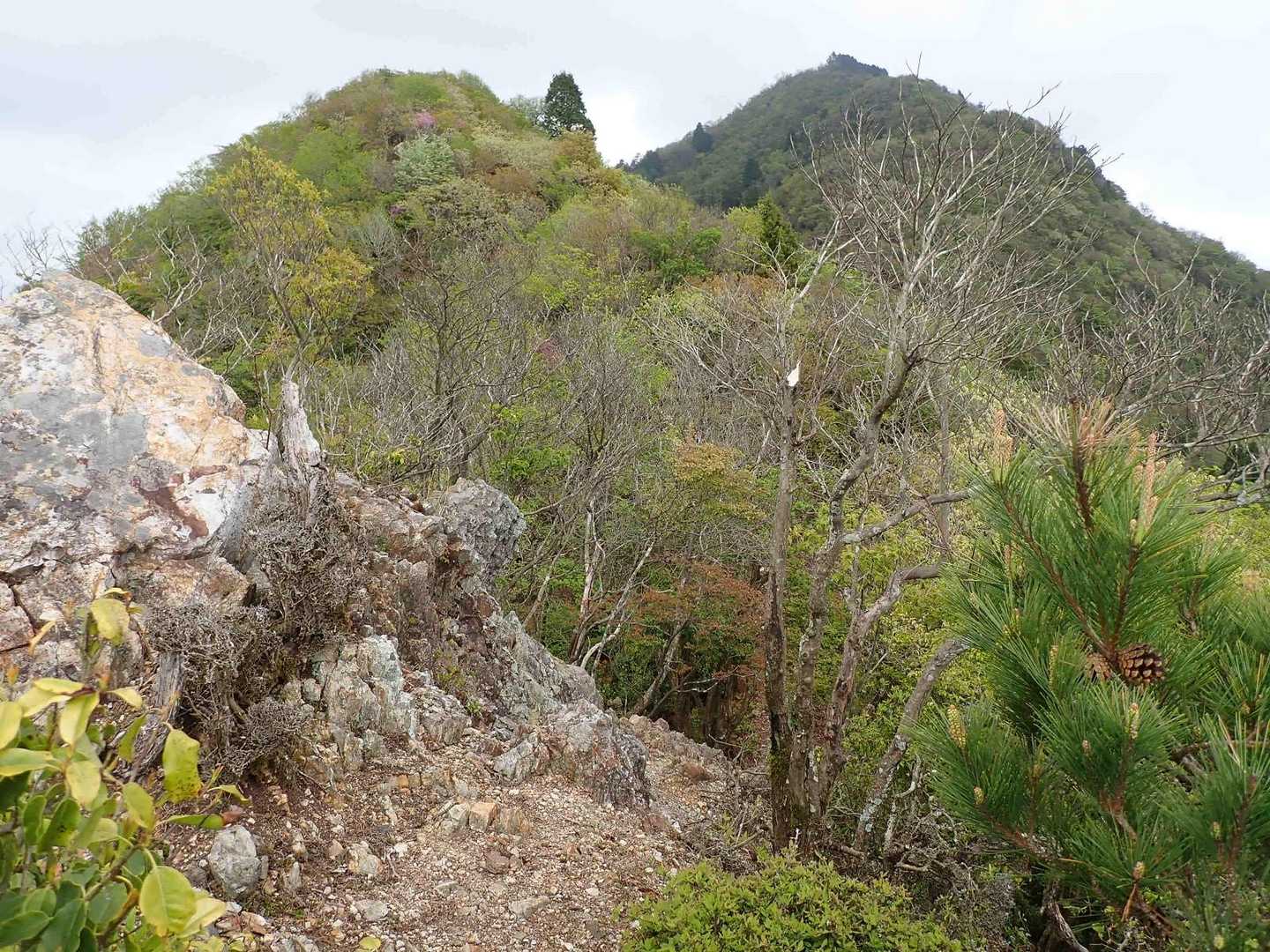 縦走路に復帰し御岳へと戻っていきます。