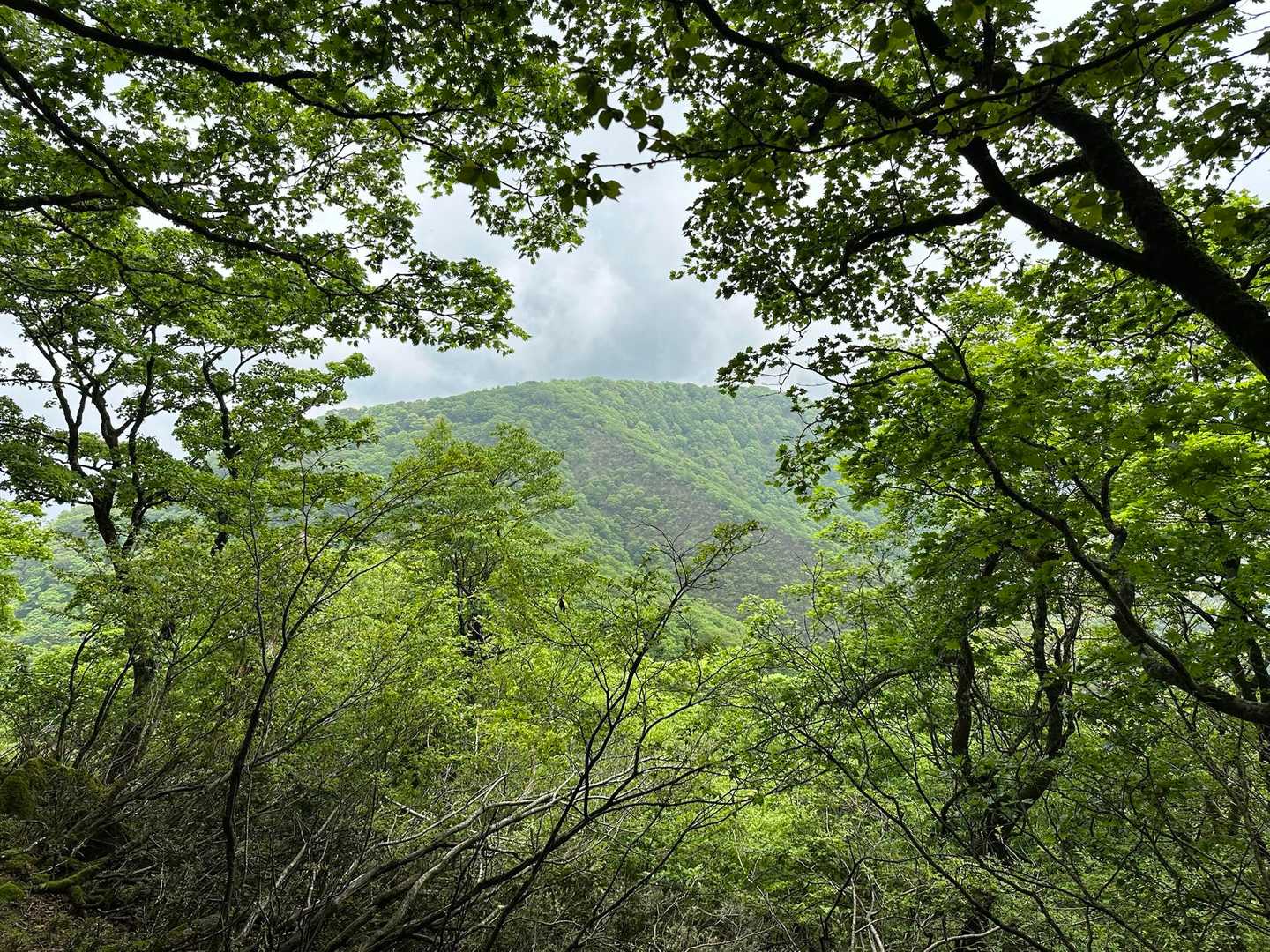 窓から御座峰😁