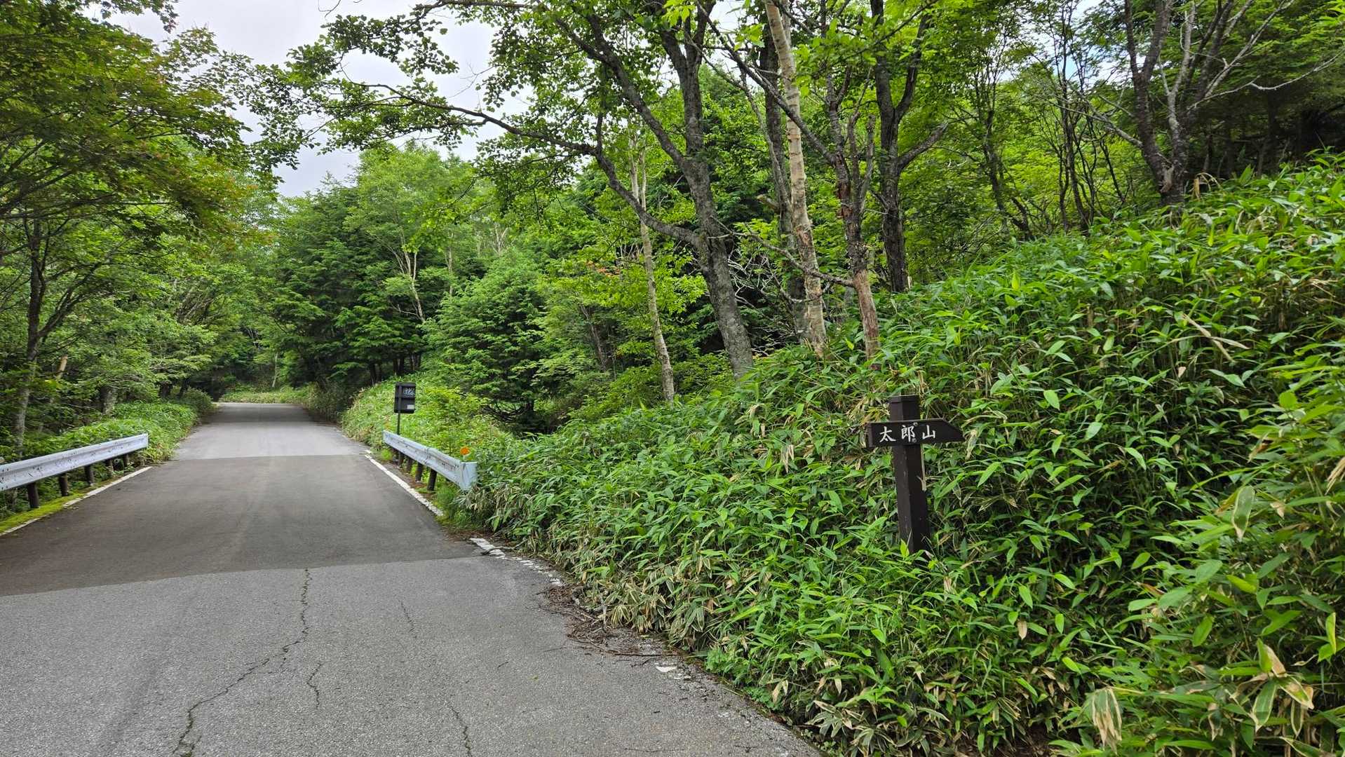 山王林道に出ました
山王林道を北に進み、於呂俱羅山に登ります