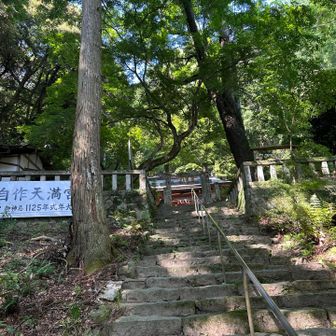 山歩きしながら、歩き方を学びます。