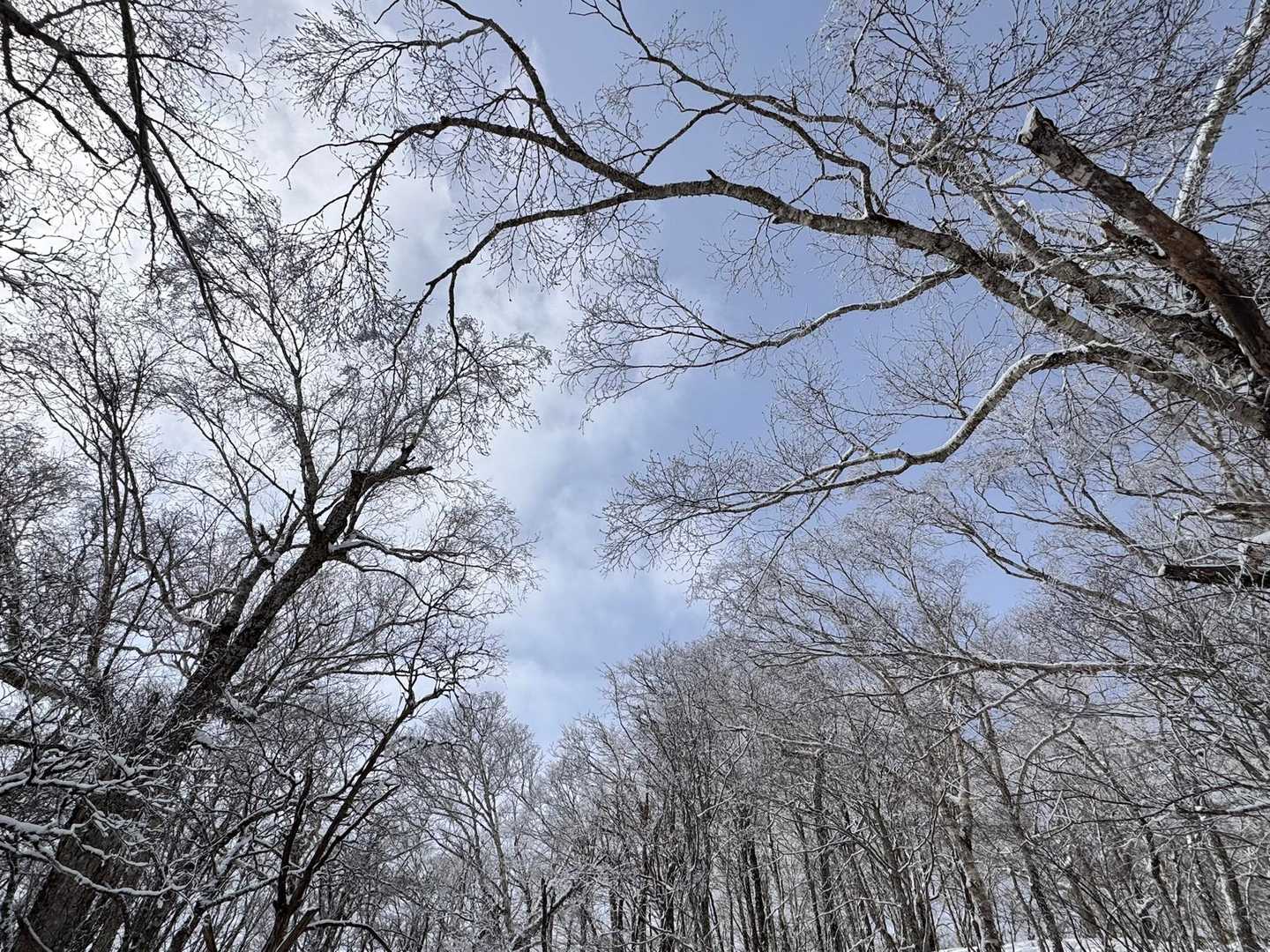 写真撮りながら休む作戦を、何度も炸裂🤣