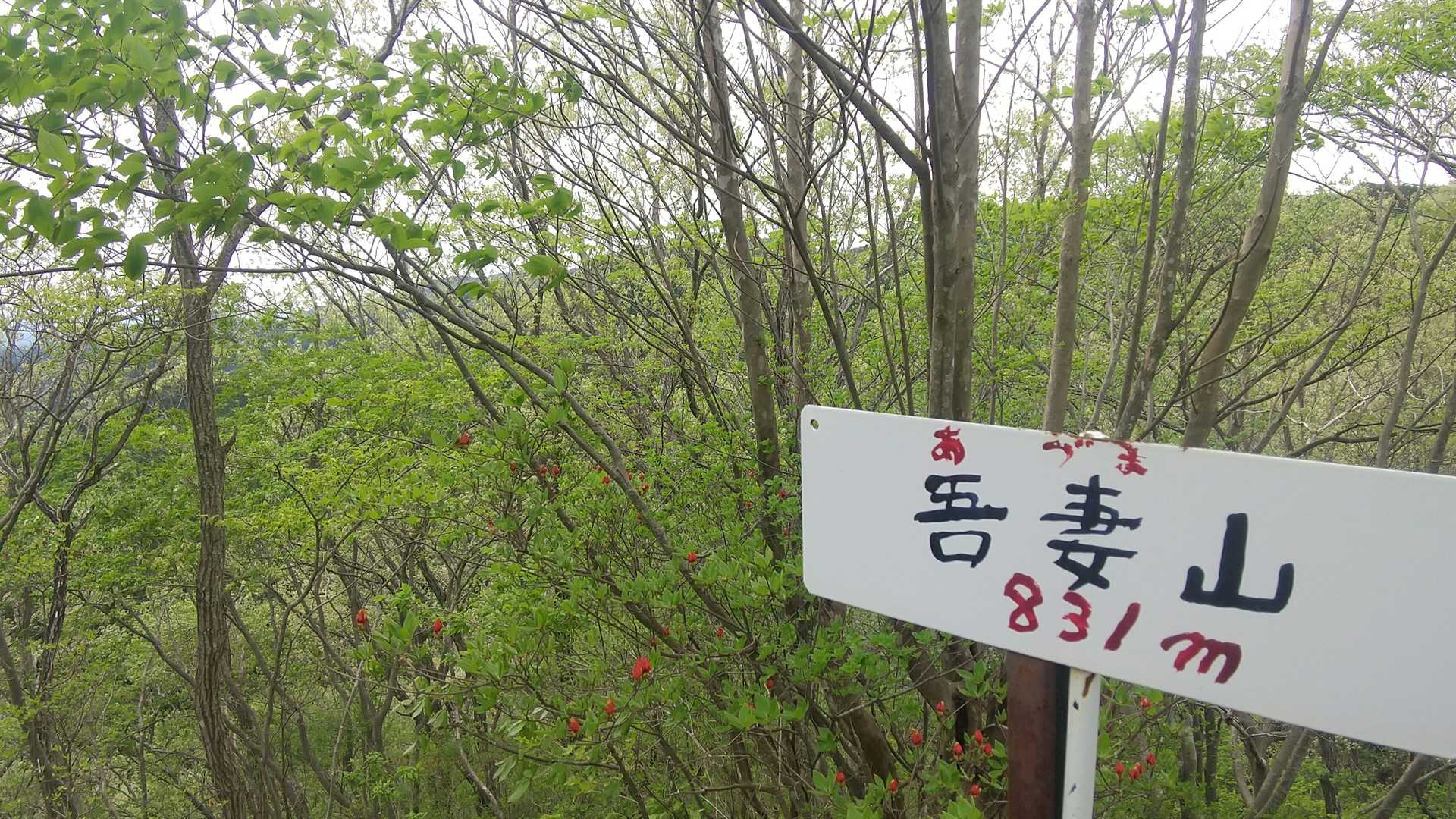 到着！あずま山ですあがつま山と呼んでました😥