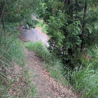 道満尾根はなかなかの急坂でしたが、静かで下山にはいい道です