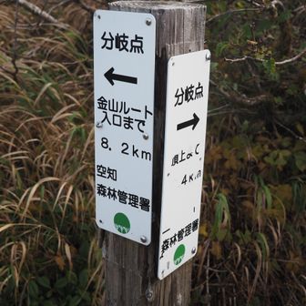 金山ルートとの分岐。登山道が荒れており上級コースのようです