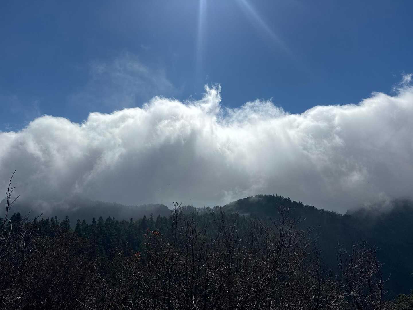この向こうが富士山らしい😅