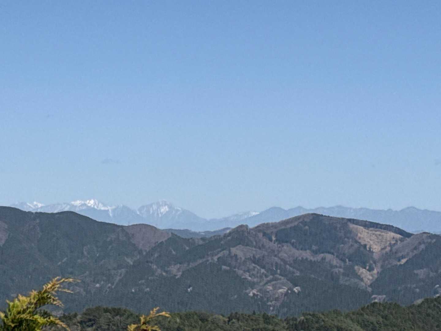 白鳥山登山口-白鳥山-ヌタバ池 周回コースの写真