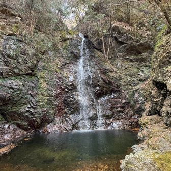 「払沢の滝」は東京で唯一「日本の滝百選」に選ばれているそうです。

氷瀑が有名らしいのですが、時期を逃してしまいました😅