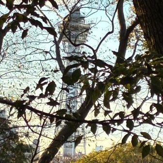 山頂からの眺望✨
通天閣が見えます^_^