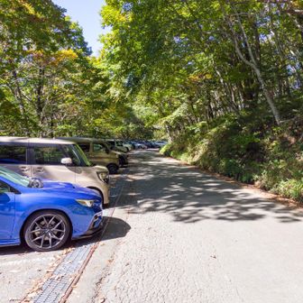 休みとあって車がいっぱい